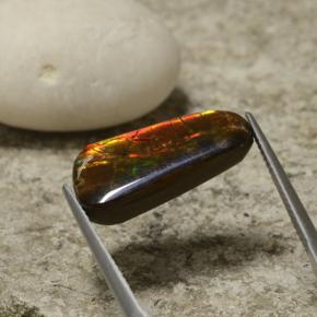 Ammolite naturale multicolore da 6,70 ct, forma fantasia, opaco
