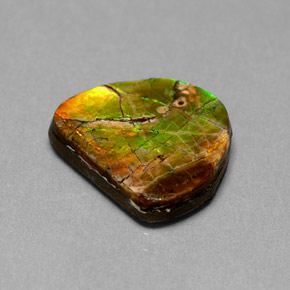 Ammolite naturale multicolore da 7,00 ct, forma fantasia, opaco