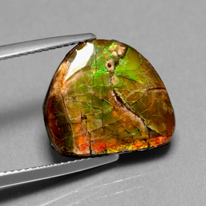 Ammolite naturale multicolore da 7,00 ct, forma fantasia, opaco