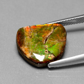 Ammolite naturale multicolore da 7,00 ct, forma fantasia, opaco