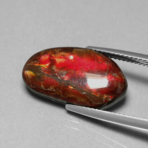 Ammolite naturale multicolore da 7,65 ct, forma fantasia, opaco
