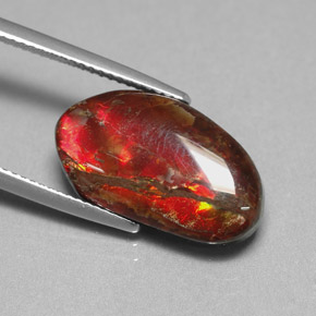 Ammolite naturale multicolore da 7,65 ct, forma fantasia, opaco