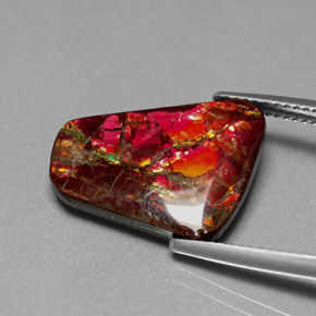 Ammolite naturale multicolore da 7,81 ct, forma fantasia, opaco
