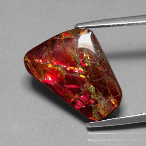 Ammolite naturale multicolore da 7,81 ct, forma fantasia, opaco