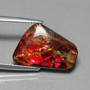 Ammolite naturale multicolore da 7,81 ct, forma fantasia, opaco