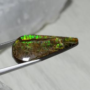Ammolite naturale multicolore da 7,94 ct, taglio a pera, opaco