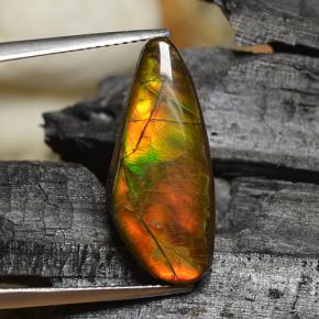 Ammolite naturale multicolore da 8,00 ct, forma fantasia, opaco