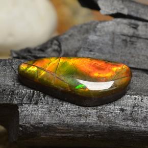 Ammolite naturale multicolore da 8,00 ct, forma fantasia, opaco