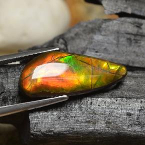 Ammolite naturale multicolore da 8,00 ct, forma fantasia, opaco