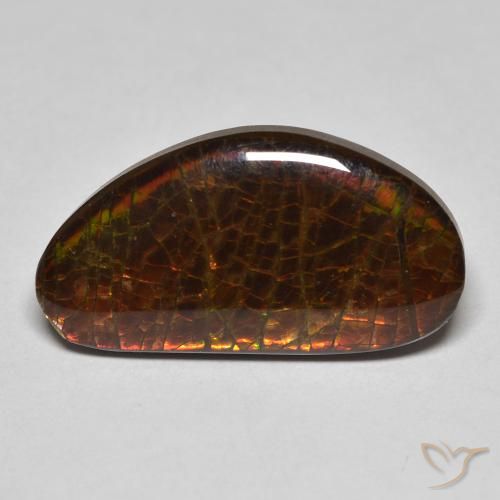 8.23ct Naturale Multicolore Ammolite, Taglio a fantasia, Opaco