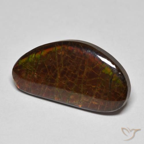Ammolite Multicolore naturale da 8.23 ct, Taglio a fantasia, Opaco