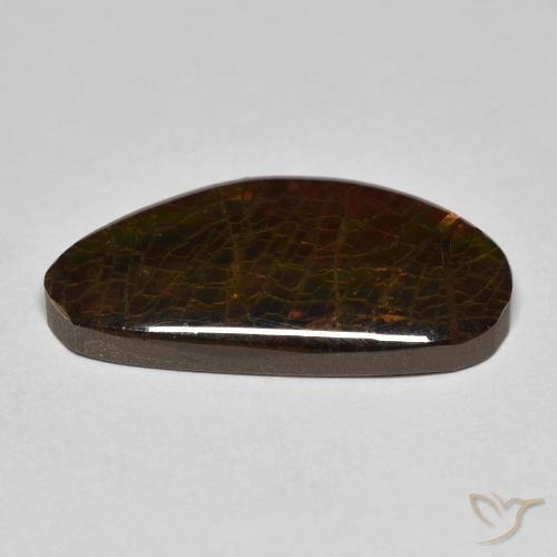 Ammolite Multicolore naturale da 8.23 ct, Taglio a fantasia, Opaco