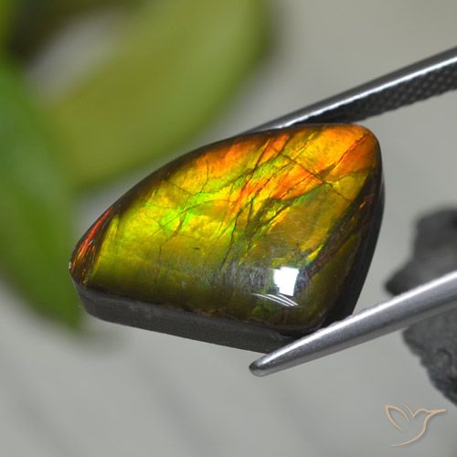 8.39ct Naturale Multicolore Ammolite, Taglio a fantasia, Opaco
