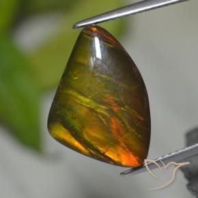 Ammolite naturale multicolore da 8,39 ct, forma fantasia, opaco