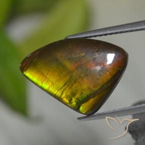 Ammolite naturale multicolore da 8,39 ct, forma fantasia, opaco