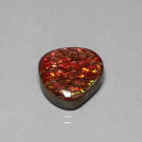 Ammolite Multicolore naturale da 8.47 ct, Forma fantasia, Opaco