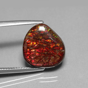 Ammolite Multicolore naturale da 8.47 ct, Forma fantasia, Opaco