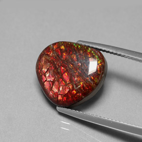 Ammolite Multicolore naturale da 8.47 ct, Forma fantasia, Opaco