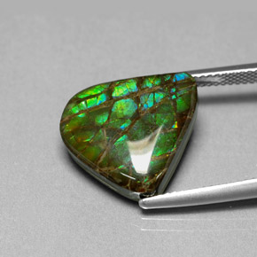 Ammolite naturale multicolore da 8,69 ct, forma fantasia, opaco
