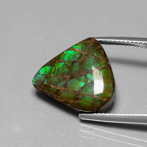 Ammolite naturale multicolore da 8,69 ct, forma fantasia, opaco
