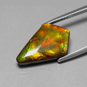 Ammolite naturale multicolore da 8,80 ct, forma fantasia, opaco