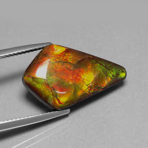 Ammolite naturale multicolore da 8,80 ct, forma fantasia, opaco