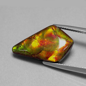 Ammolite naturale multicolore da 8,80 ct, forma fantasia, opaco