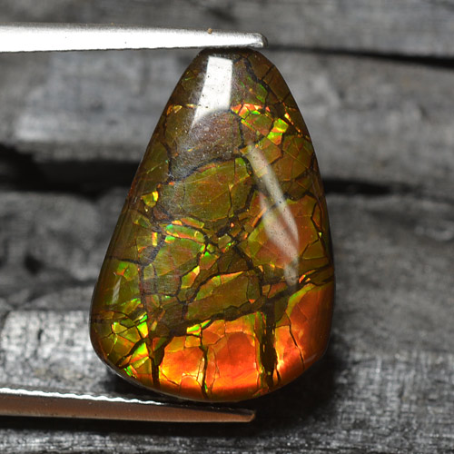 Ammolite multicolore naturale da 8,83 ct, forma fantasia, opaco