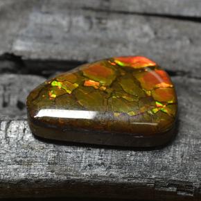 Ammolite multicolore naturale da 8,83 ct, forma fantasia, opaco