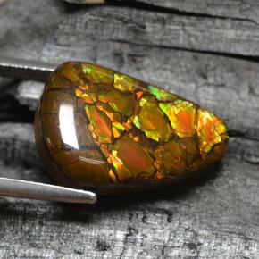 Ammolite multicolore naturale da 8,83 ct, forma fantasia, opaco