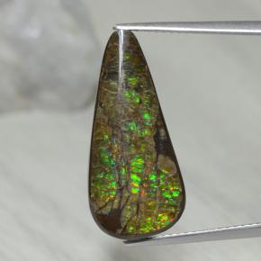 Ammolite naturale multicolore da 9,02 ct, taglio a pera, opaco