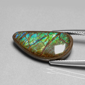Ammolite naturale multicolore da 9,39 ct, forma fantasia, opaco