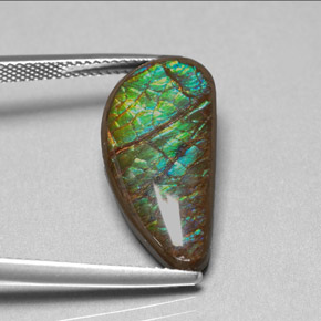 Ammolite naturale multicolore da 9,39 ct, forma fantasia, opaco