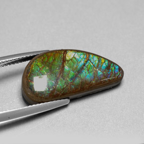 Ammolite naturale multicolore da 9,39 ct, forma fantasia, opaco