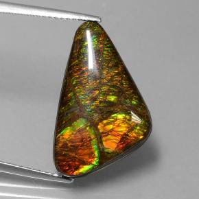 Ammolite naturale multicolore da 9,50 ct, forma fantasia, opaco