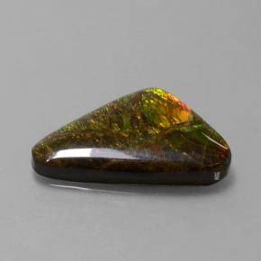 Ammolite naturale multicolore da 9,50 ct, forma fantasia, opaco