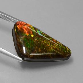Ammolite naturale multicolore da 9,50 ct, forma fantasia, opaco