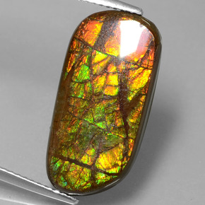 Ammolite Multicolore naturale da 9.77 ct, Forma fantasia, Opaco