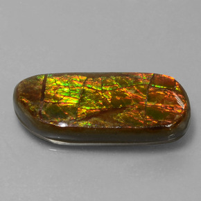 Ammolite Multicolore naturale da 9.77 ct, Forma fantasia, Opaco