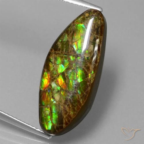 9.86ct Naturale Multicolore Ammolite, Taglio a fantasia, Opaco
