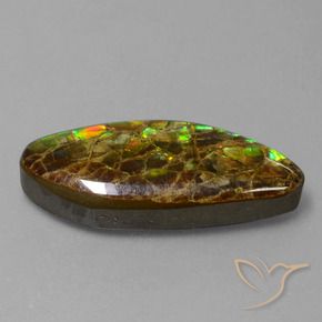 Ammolite Multicolore naturale da 9.86 ct, Taglio a fantasia, Opaco