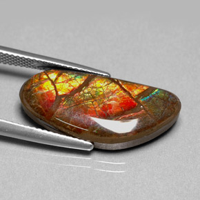 Ammolite Multicolore naturale da 9.95 ct, Forma fantasia, Opaco