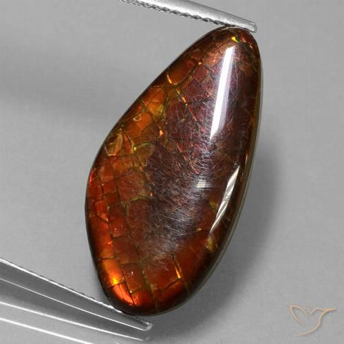 9.99ct Naturale Multicolore Ammolite, Taglio a fantasia, Opaco