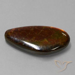 Ammolite Multicolore naturale da 9.99 ct, Taglio a fantasia, Opaco