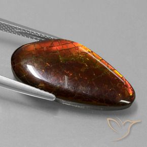 Ammolite Multicolore naturale da 9.99 ct, Taglio a fantasia, Opaco