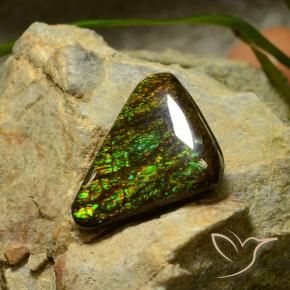 Ammolite Multicolore naturale da 10.34 ct, Taglio trillion, Opaco