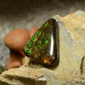 Ammolite Multicolore naturale da 10.34 ct, Taglio trillion, Opaco