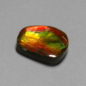 Ammolite naturale multicolore da 10,55 ct, forma fantasia, opaco