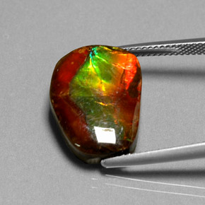 Ammolite naturale multicolore da 10,55 ct, forma fantasia, opaco
