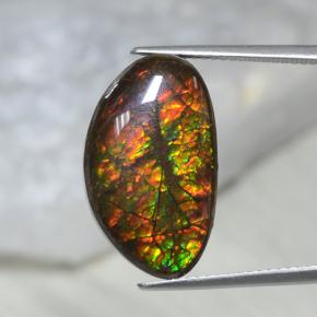 Ammolite naturale multicolore da 10,69 ct, forma fantasia, opaco